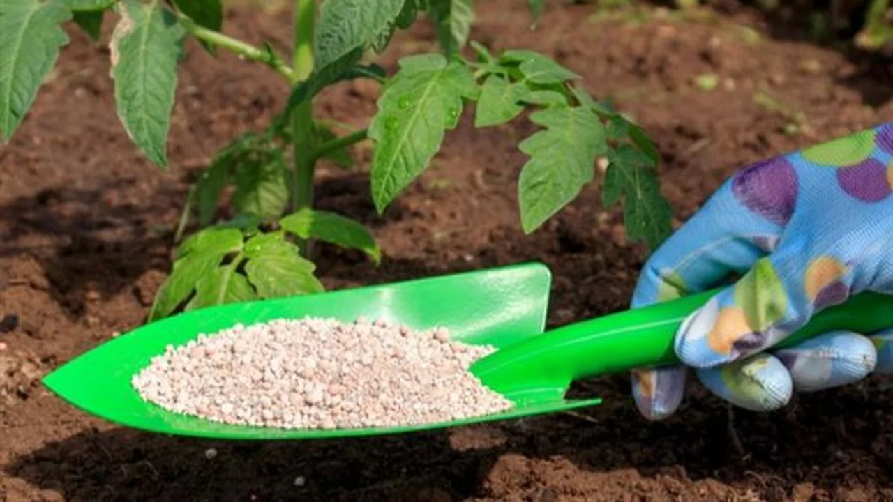 أسعار الأسمدة في الأسواق بعد زيادة سعر طن اليوريا 2137 جنيهاً